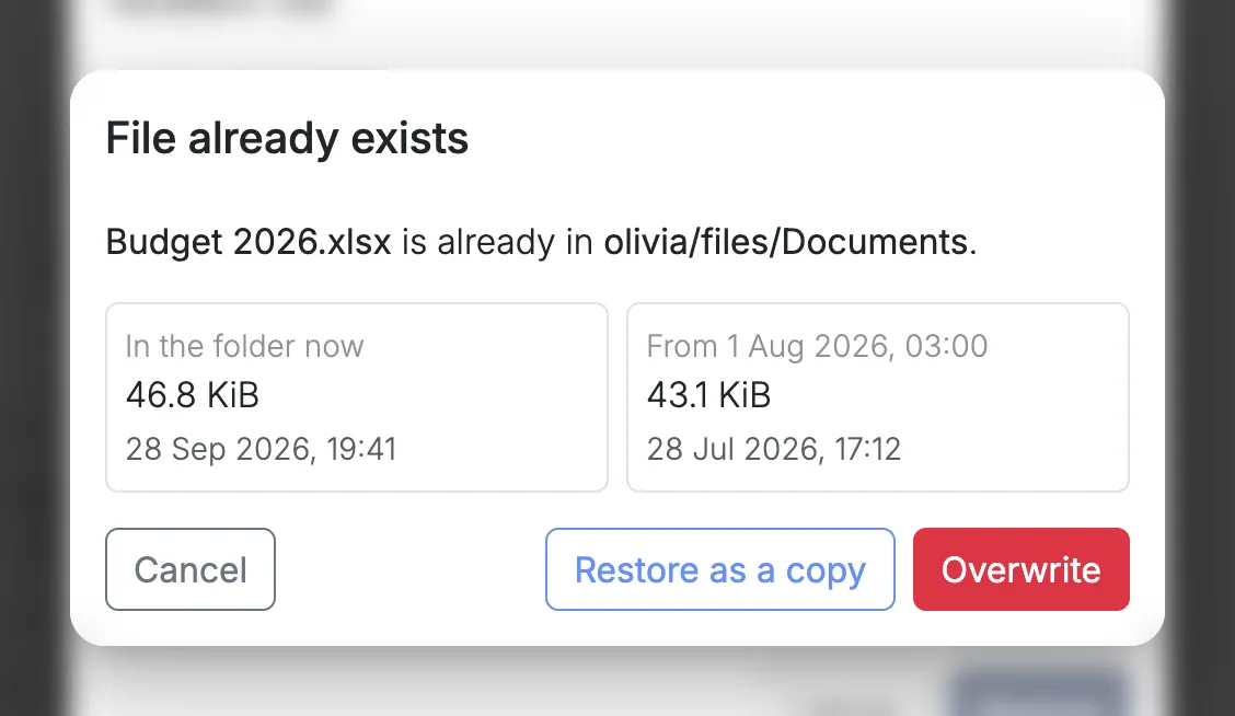 Choosing what to do with a file that is already there